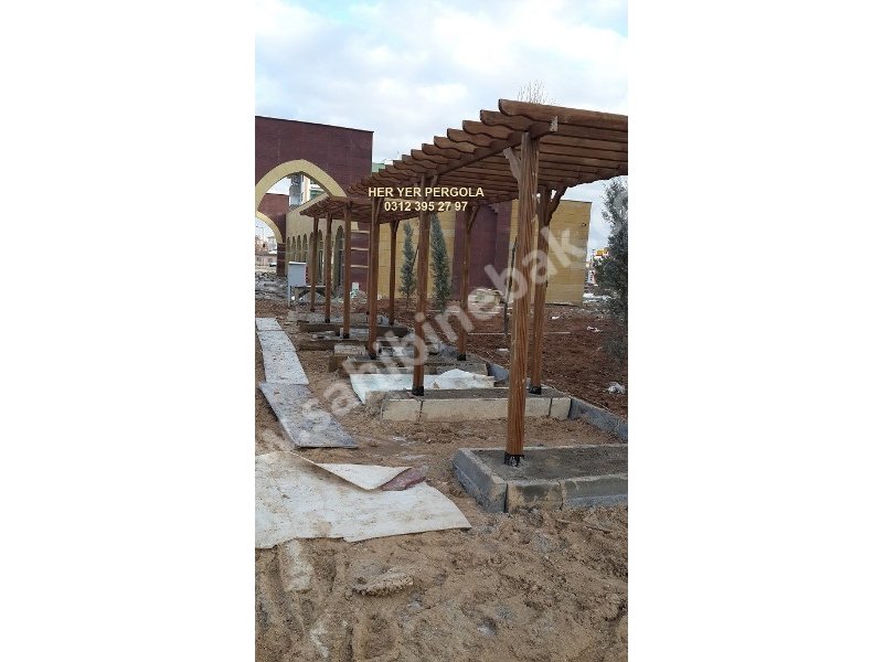 Shading elements, camellia, arbor, pergola,عناصر التظليل ، الكاميليا ، الشجرة ،