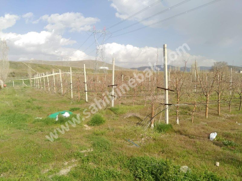 nigde merkez de sahibinden satilik tarla bahce sahibinebak com da 105150044