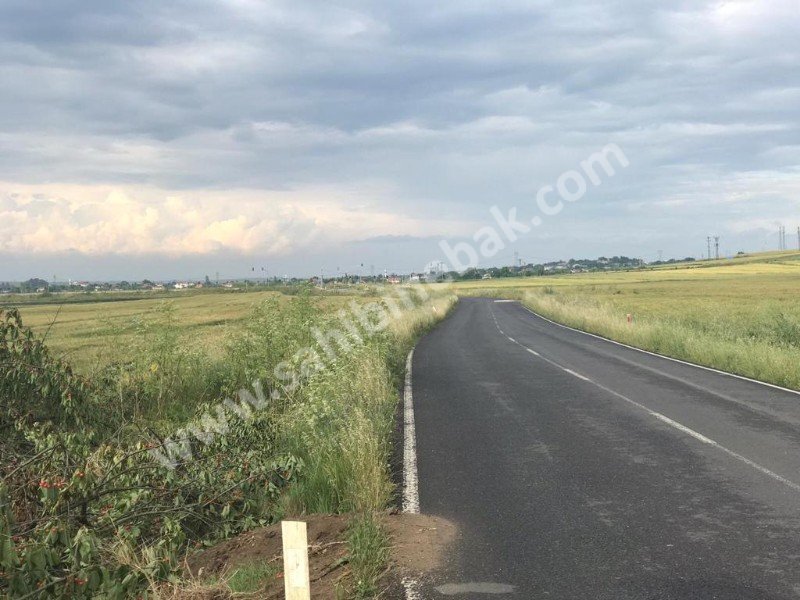 Tekirdağ Muratlı'da Sahibinden Satılık Bağ