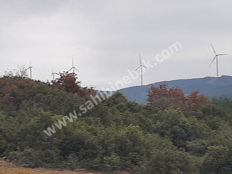 GELİBOLU BAYRAMİÇTE SATILIK 2.500 M2 TARLA