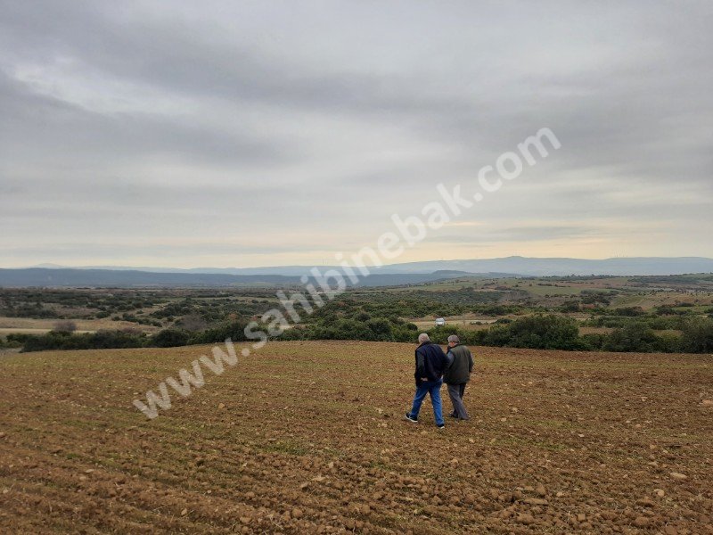 GELİBOLU BAYRAMİÇTE SATILIK 2.500 M2 TARLA