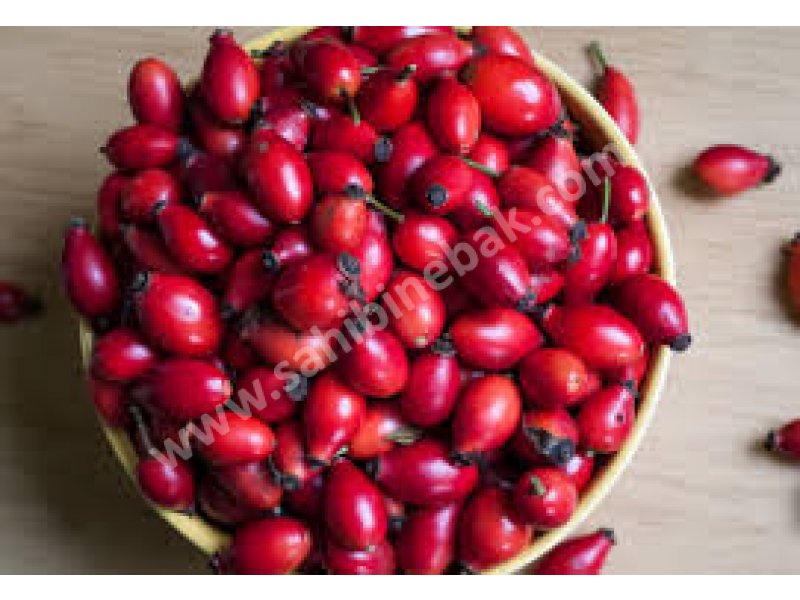 KUŞBURNU ORGANİK MEYVE ÇAY VE MARMELAT İÇİN KG: 200 TL