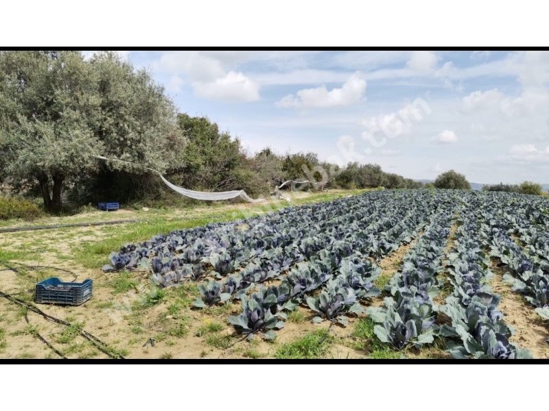 Tarsus Karadirlik'te Sahibinden Satılık Tarla