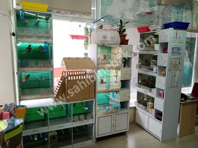 KARTAL YUKARI MAHALLE'DE DEVREN KİRALIK PETSHOP