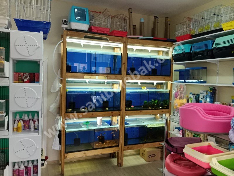 KARTAL YUKARI MAHALLE'DE DEVREN KİRALIK PETSHOP