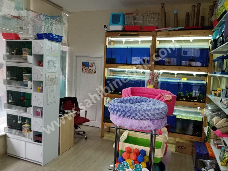 KARTAL YUKARI MAHALLE'DE DEVREN KİRALIK PETSHOP