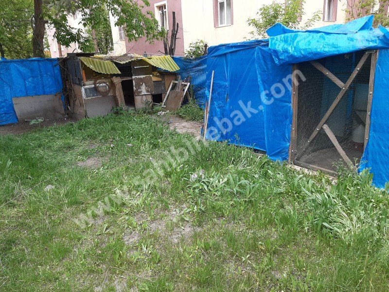 Erzurum Aziziye�de Sahibinden Satılık Müstakil ev Aziziye Satılık