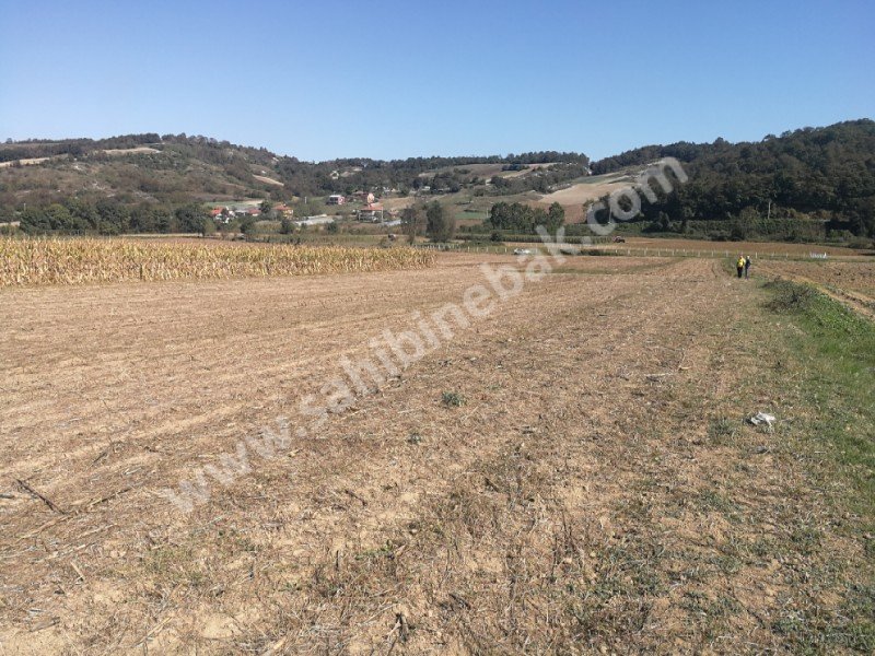 Takaslı Kefken sahile 15 km 4985 m2 yatırımlık Arsa araç ve daire takası olur