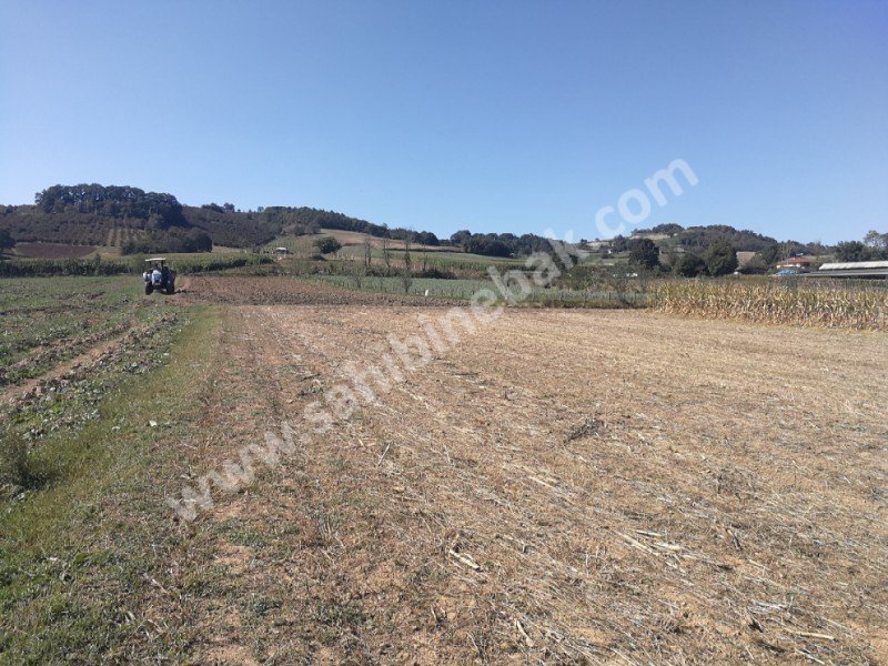 Takaslı Kefken sahile 15 km 4985 m2 yatırımlık Arsa araç ve daire takası olur
