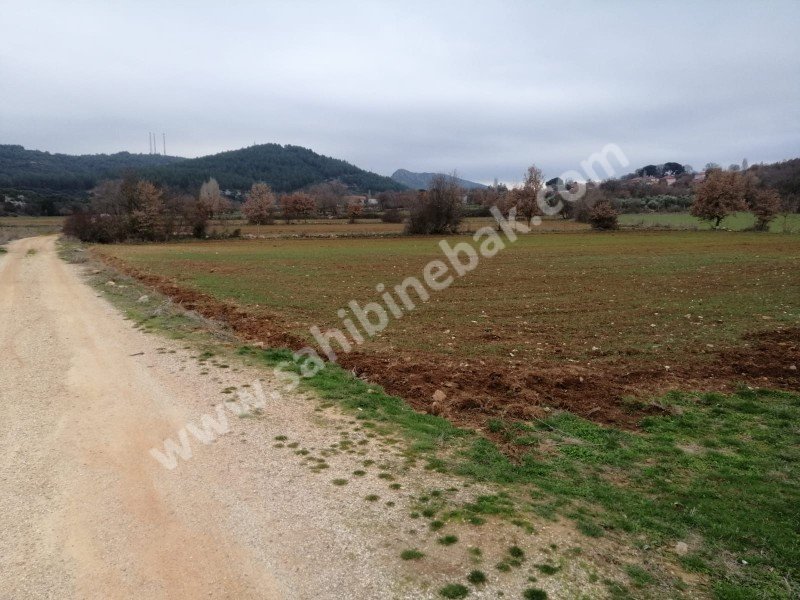 AKYAKA YA  MUĞLA MERKEZE YAKIN  AVANTAJLI ARAZI