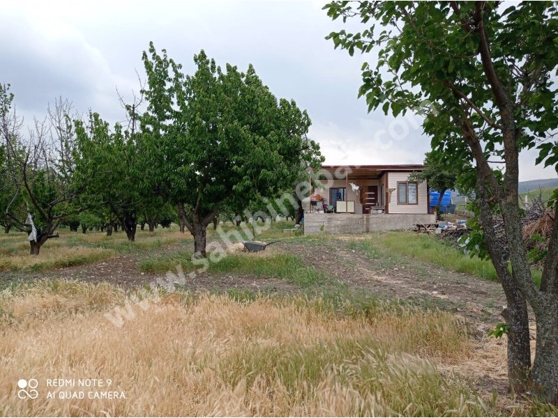 Ankara Ayaş Oltan Mah. Sahibinden Satılık 8.000 m2 Bahçe