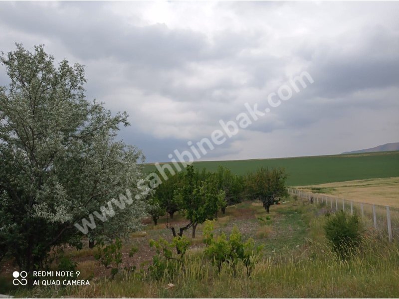 Ankara Ayaş Oltan Mah. Sahibinden Satılık 8.000 m2 Bahçe