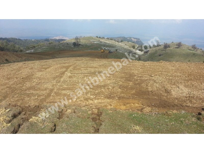 1100 m YÜKSEKTE ÖNÜ TAMAMEN AÇIK MÜTHİŞ MANZARALI SATILIK-TAKASLI YAYLA ARAZİ