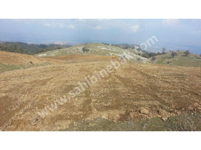 1100 m YÜKSEKTE ÖNÜ TAMAMEN AÇIK MÜTHİŞ MANZARALI SATILIK-TAKASLI YAYLA ARAZİ