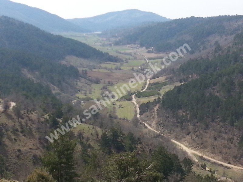 SAHİBİNDEN SATILIK 1.100 m YÜKSEKTE ÖNÜ TAMAMEN AÇIK YAYLA ARAZİ