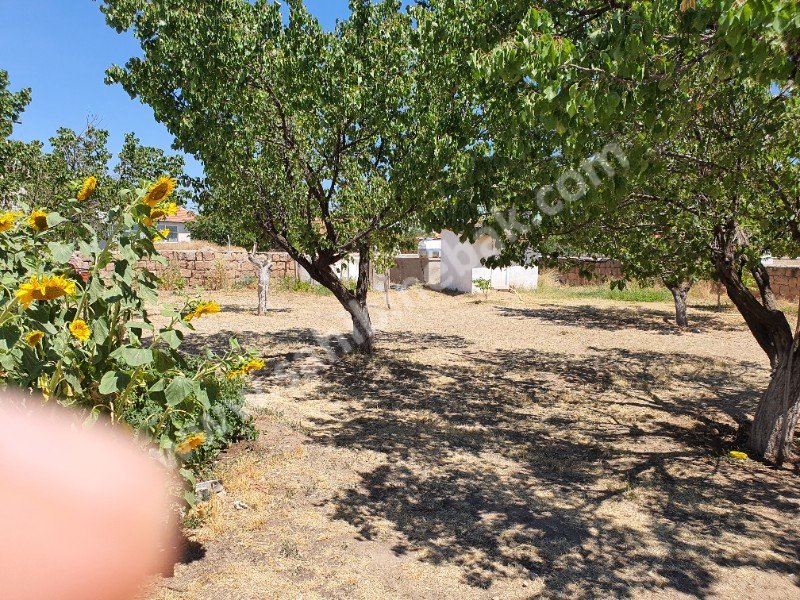 Sarıoğlan Bakarcak Mah. Sahibinden Kiralık Müstakil Ev