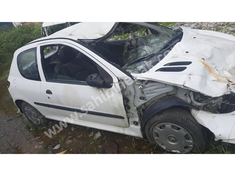 Peugeot 206 kesme kasa kupa