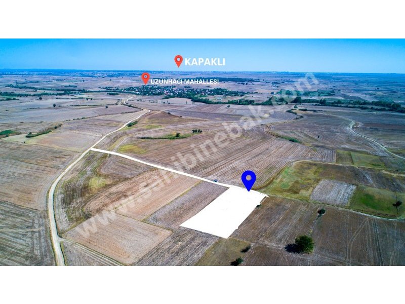 TEKİRDAĞ KAPAKLIDA SATILIK 1650 M2 BAĞ YERİ