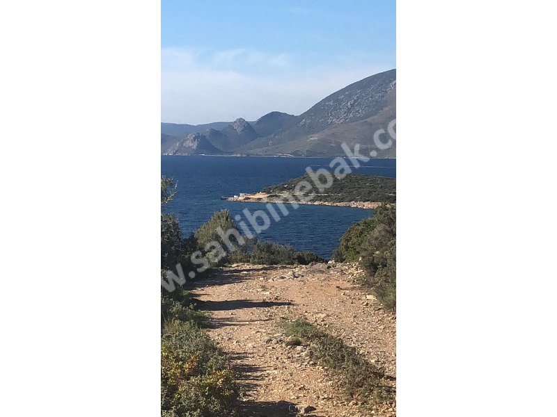 ÇEŞME ILDIRI'DA ALINIR SATILIR KOOPERATİF HİSSESİ