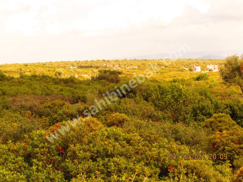 Didim Ak-Yeniköy Mah. Satılık İmarlı 330 m2 Arsa