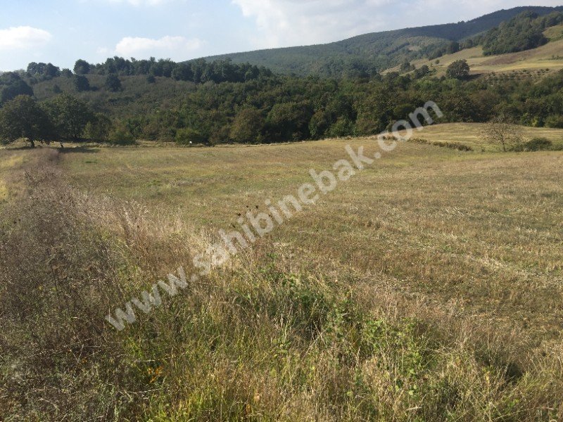 İZMİT AMBARCI MAHALLESİN'DE SAHİBİNDEN SATILIK TARLA 4000M2