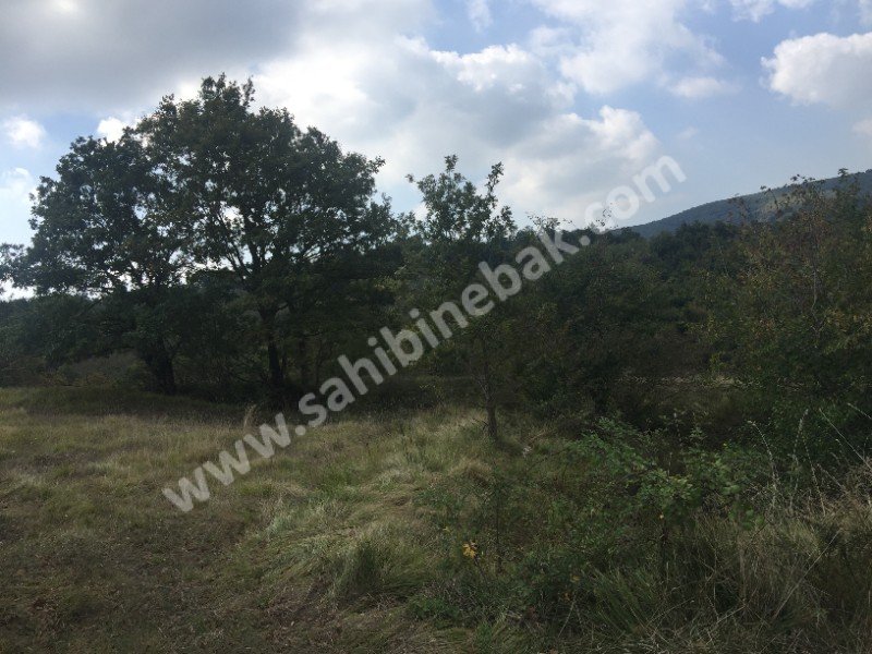 İZMİT AMBARCI MAHALLESİN'DE SAHİBİNDEN SATILIK TARLA 4000M2