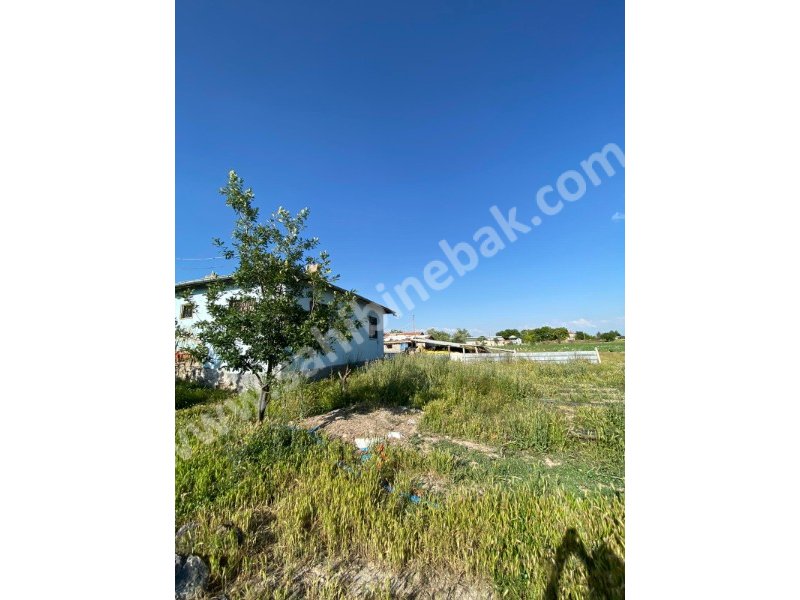 AKSARAY YEŞİLOVA KÖSELİDE SATILIK BAHÇE VE 3+1 EVİ