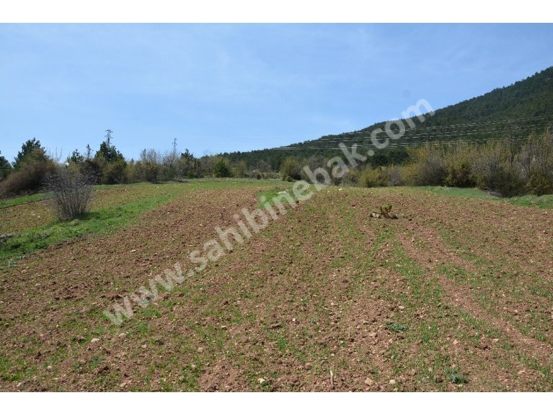 Bolu Mengen Kayışlar Köyün'de Sahibinden Satılık 1350 m2 Tarla