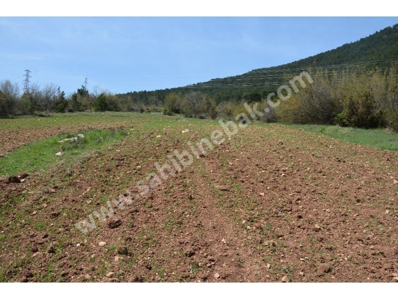 Bolu Mengen Kayışlar Köyün'de Sahibinden Satılık 1350 m2 Tarla
