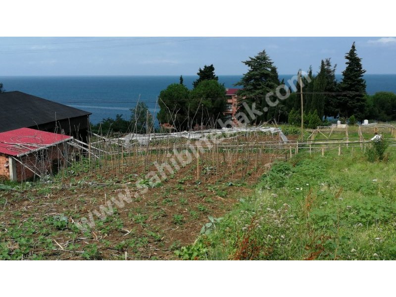 Trabzon Akçaabat Akçakale Mah. İçınde Karkas bına Olan Satılık 495 m2 Arsa