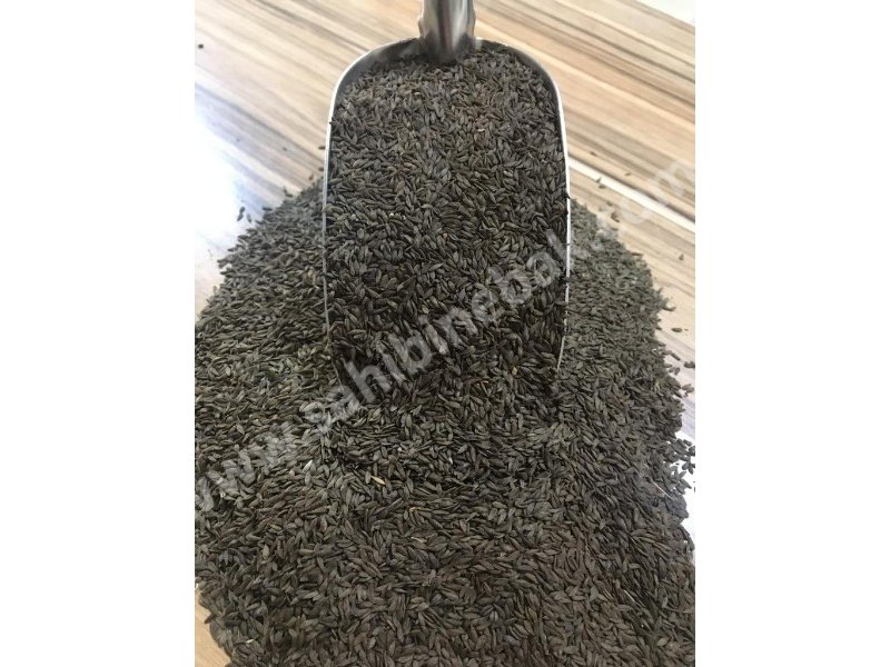 Arapsaçı kıvırcık marul tohumu 1 kg