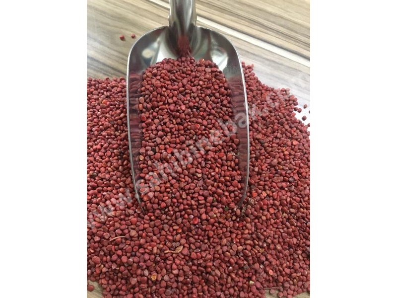 Fındık Turp Tohumu 1 KG
