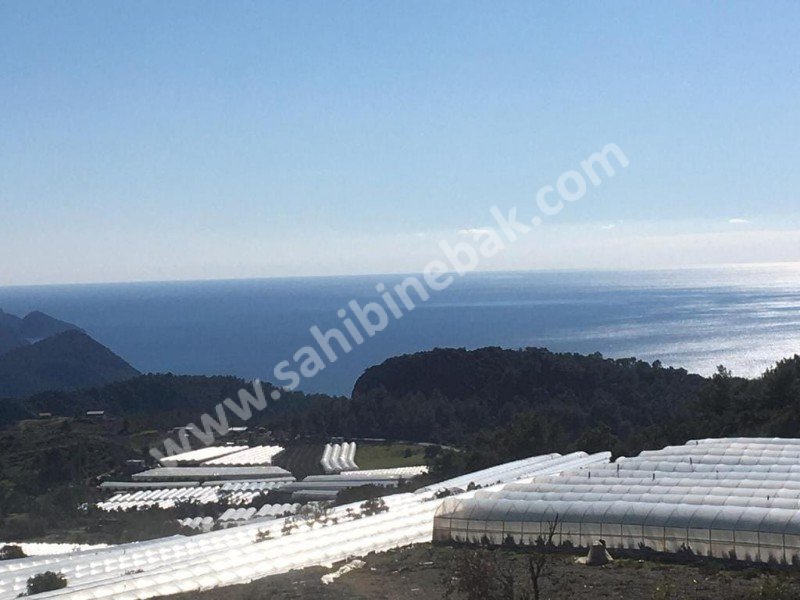 Antalya Kumluca Mavikent Mah. Satılık 4300 m2 Tarla