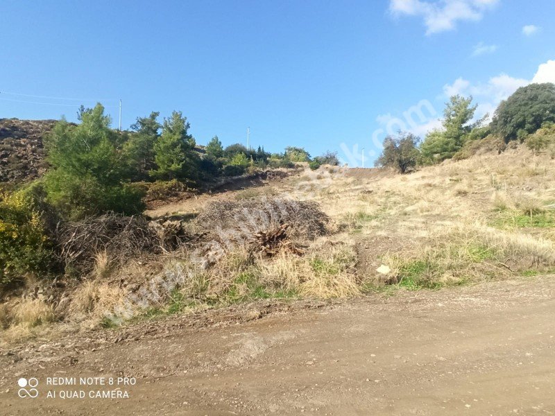 Antalya Kumluca Erentepe Mah. Satılık Müstakil Tapu 10.200 m2 Tarla