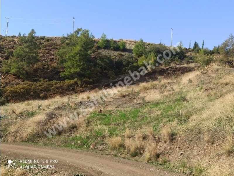 Antalya Kumluca Erentepe Mah. Satılık Müstakil Tapu 10.200 m2 Tarla