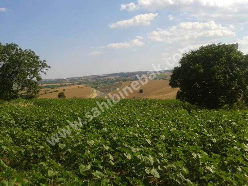 Süleymanpaşa Yağcı Mah. Satılık Arsa