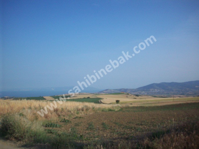 BARBAROS'TA LİMAN YOLUNDA SATILIK 50.850 M2 ARAZİ