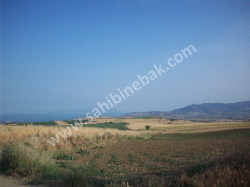 BARBAROS'TA LİMAN YOLUNDA SATILIK 50.850 M2 ARAZİ