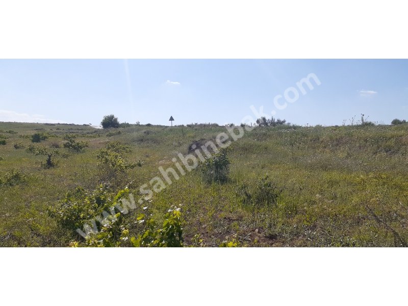Kilis Merkez'de Satılık 12.740 m2 Yola Sıfı Bağ ve Fıstıklık
