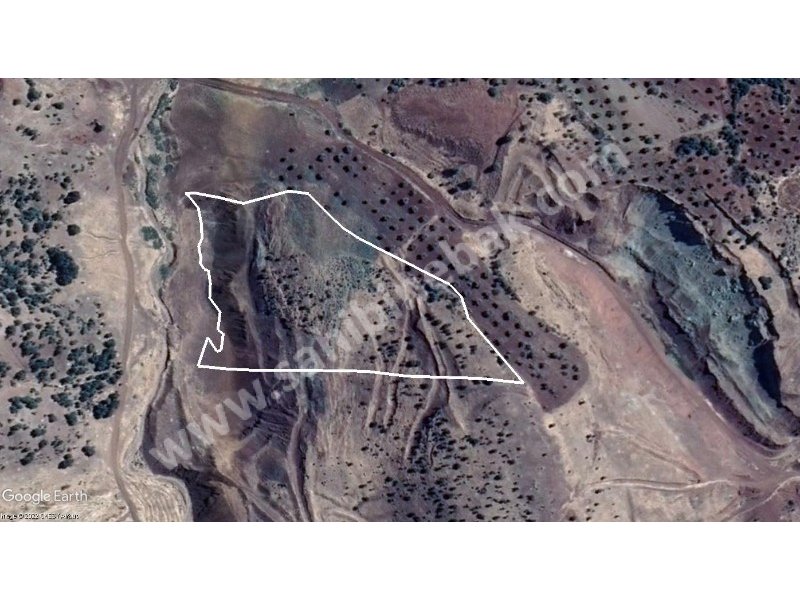Kilis Musabeyli Madenyolun'da Satılık 22.698 m2 Tarla