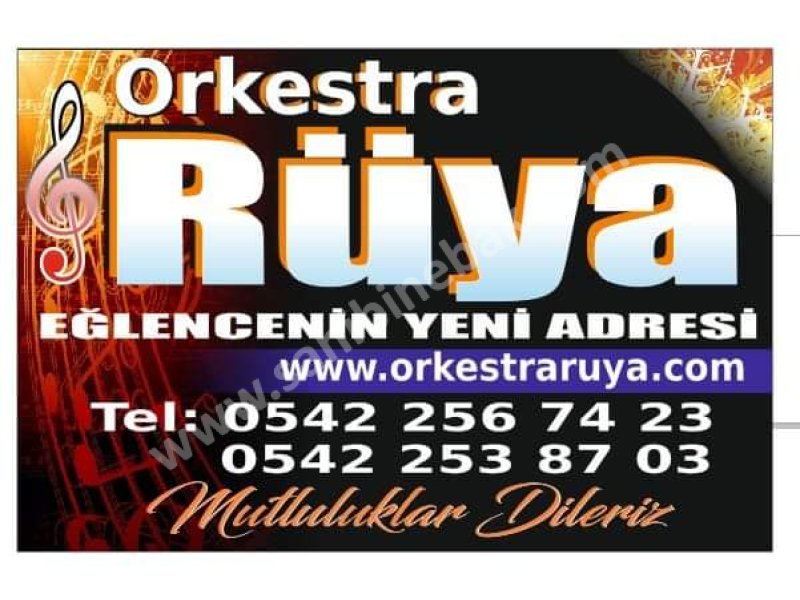 MUĞLA ORKESTRA RÜYA MUĞLA İLÇELERİNDE ORKESTRA