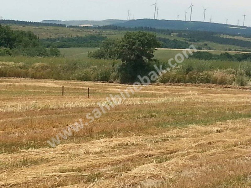 KIRKLARELİ PEHLİVANKÖY'DE SATILIK 500 M2 ARSA