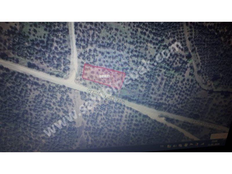 Bursa Orhangazi Yenisölöz Mh. Satılık 1430 m2 Zeytinlik