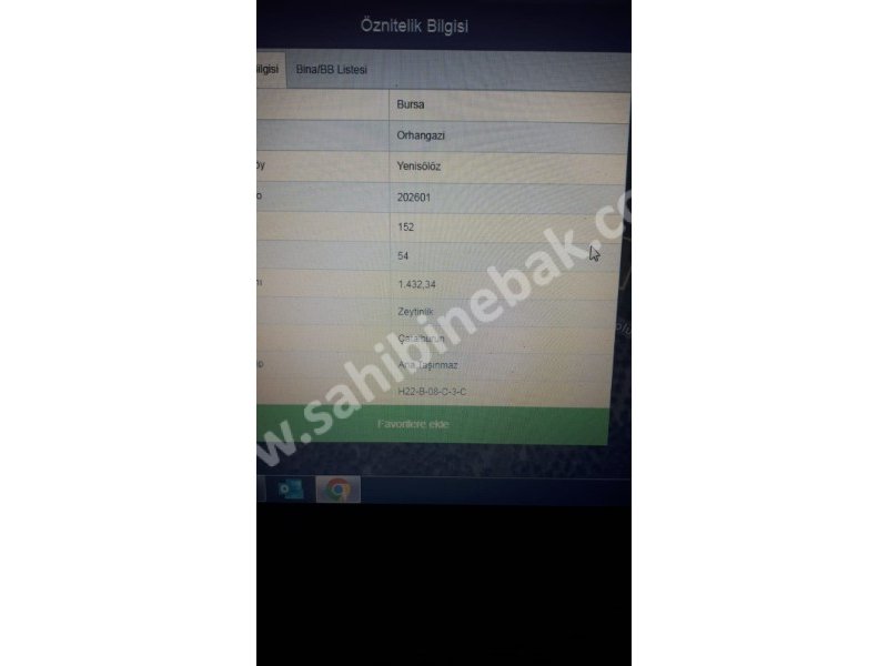Bursa Orhangazi Yenisölöz Mh. Satılık 1430 m2 Zeytinlik