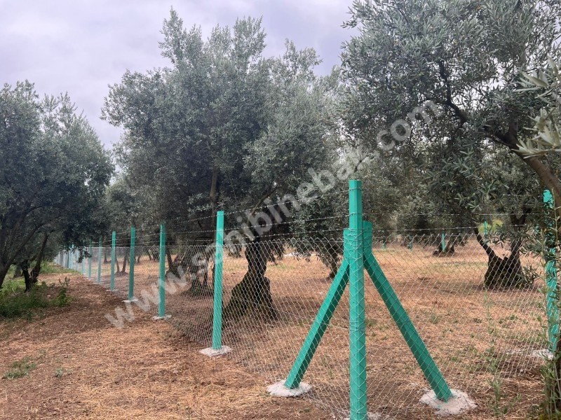 Bursa Orhangazi Yenisölöz Mh. Satılık 1430 m2 Zeytinlik