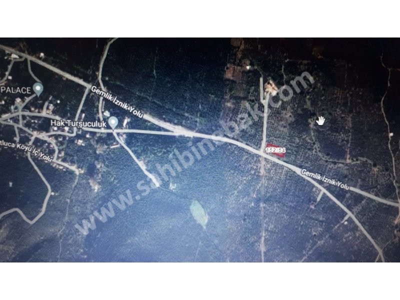 Bursa Orhangazi Yenisölöz Mh. Satılık 1430 m2 Zeytinlik