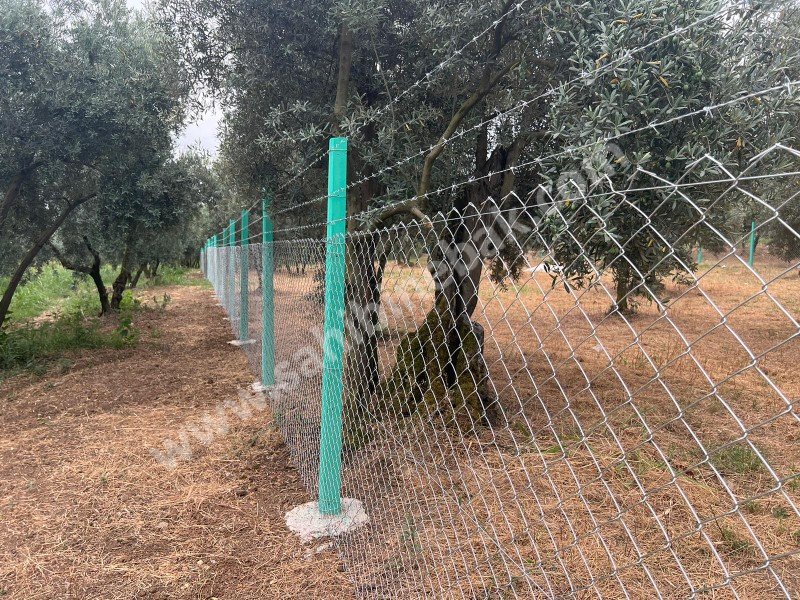 Bursa Orhangazi Yenisölöz Mh. Satılık 1430 m2 Zeytinlik