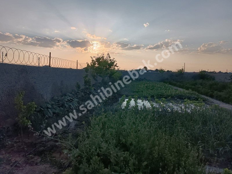 AKSARAY YEŞİLOVA KÖSELİ MH. SATILIK BAHÇE VE EVİ