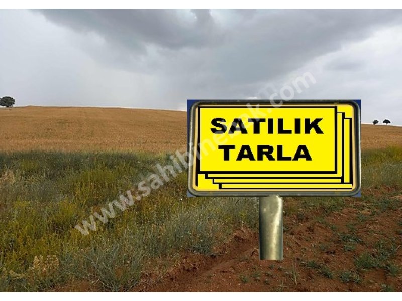 ISPARTA YALVAÇ SÜCÜLLÜ KAMIŞLI DA SATILIK 17000 M2 TARLA