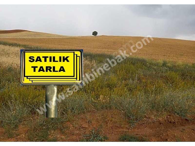 ISPARTA YALVAÇ SÜCÜLLÜ KAMIŞLI DA SATILIK 17000 M2 TARLA